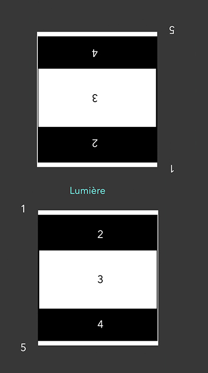 paroi antérieure et postérieure